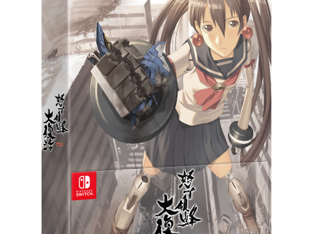 DoDonPachi DaiFukkatsu - Nintendo Switch NSW Cheap